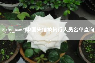 广东中国失信被执行人员名单查询