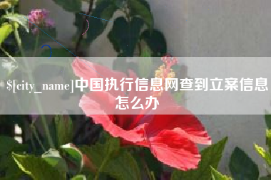 广东中国执行信息网查到立案信息怎么办