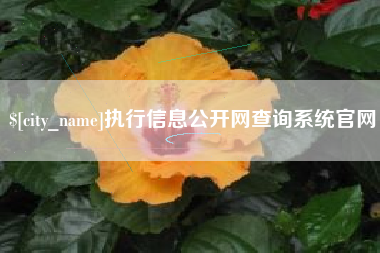 广东执行信息公开网查询系统官网