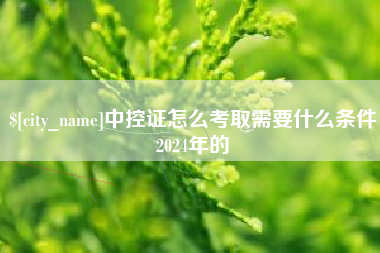 广东中控证怎么考取需要什么条件2024年的