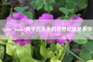 广东男子五千米的世界纪录是多少