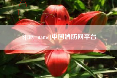 广东中国消防网平台