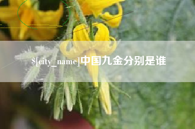 广东中国九金分别是谁