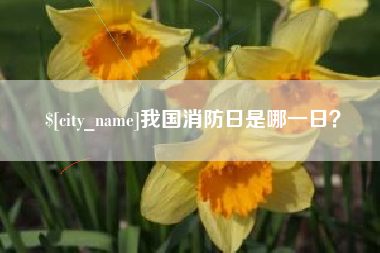 广东我国消防日是哪一日？