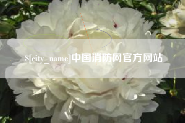 广东中国消防网官方网站