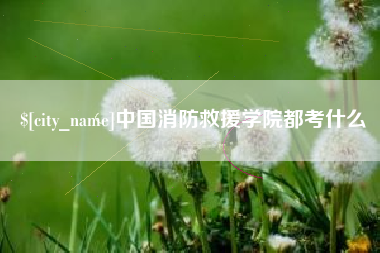 广东中国消防救援学院都考什么
