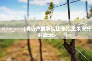 广东消防救援学院山东招生录取分数线2020
