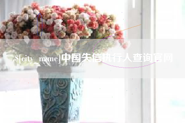 广东中国失信执行人查询官网