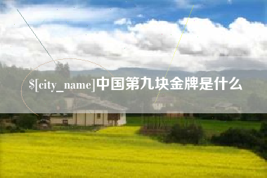 广东中国第九块金牌是什么