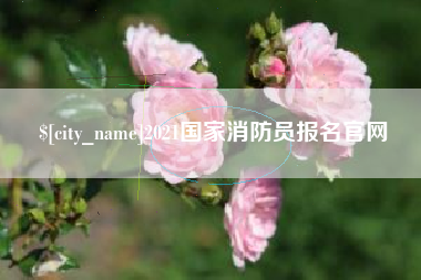 广东2021国家消防员报名官网