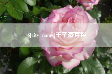 广东王子豪百科