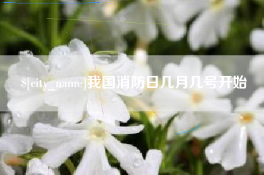 广东我国消防日几月几号开始