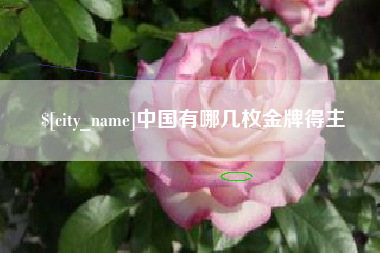 广东中国有哪几枚金牌得主