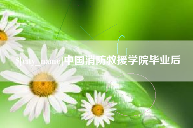 广东中国消防救援学院毕业后