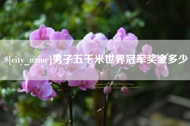 广东男子五千米世界冠军奖金多少