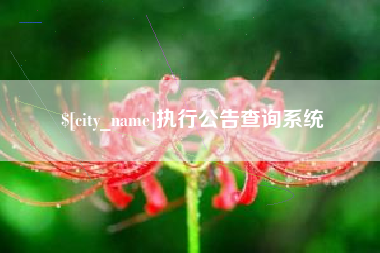 广东执行公告查询系统