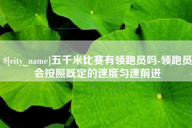 广东五千米比赛有领跑员吗-领跑员会按照既定的速度匀速前进