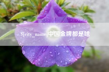 广东中国金牌都是啥