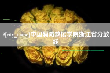 广东中国消防救援学院浙江省分数线