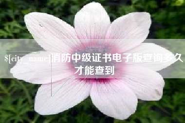 广东消防中级证书电子版查询多久才能查到