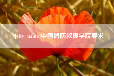 广东中国消防救援学院要求