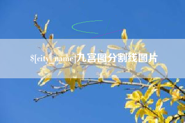 广东九宫图分割线图片