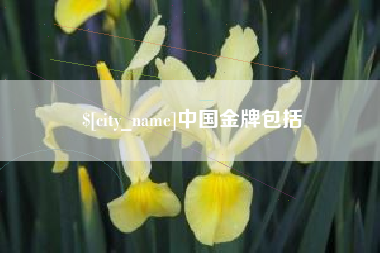 广东中国金牌包括