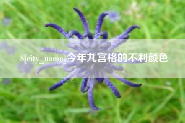 广东今年九宫格的不利颜色
