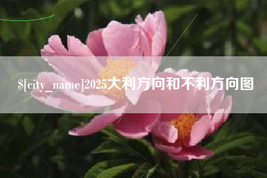 广东2025大利方向和不利方向图