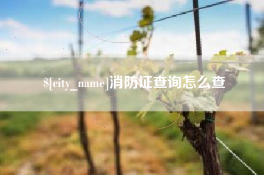 广东消防证查询怎么查