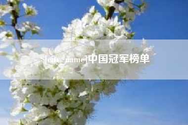 广东中国冠军榜单