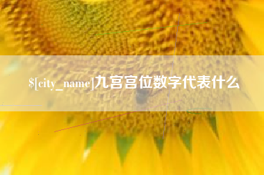 广东九宫宫位数字代表什么