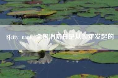 广东全国消防日是从哪年发起的