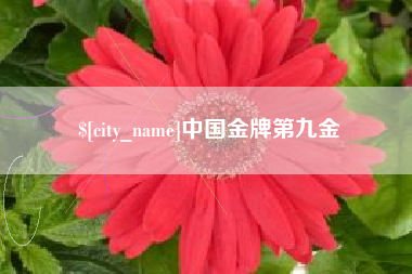 广东中国金牌第九金