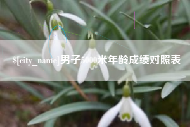 广东男子5000米年龄成绩对照表