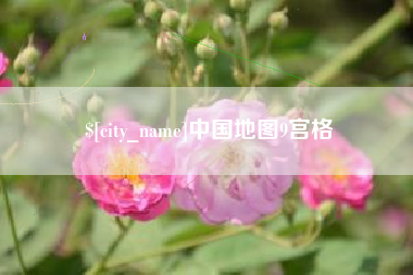 广东中国地图9宫格