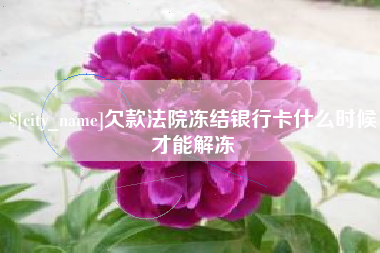 广东欠款法院冻结银行卡什么时候才能解冻