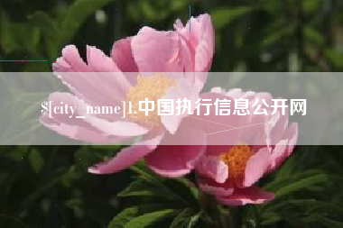 广东1.中国执行信息公开网