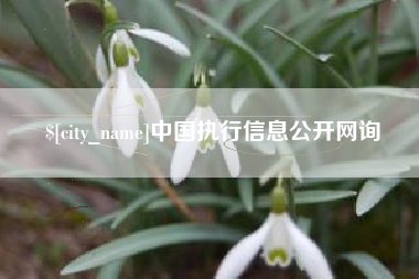 广东中国执行信息公开网询