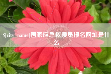 广东国家应急救援员报名网址是什么