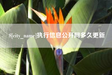 广东执行信息公开网多久更新