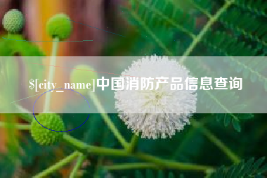 广东中国消防产品信息查询