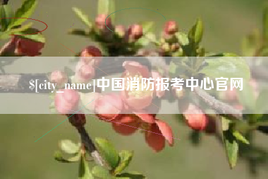 广东中国消防报考中心官网