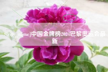 广东中国金牌榜2024巴黎奥运会最新