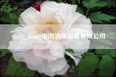 广东中国消防设备有限公司