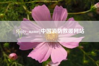 广东中国消防救援网站