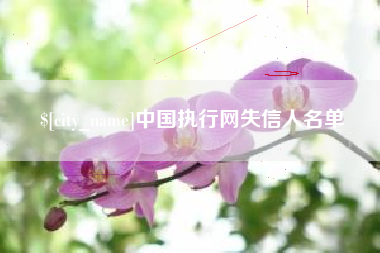 广东中国执行网失信人名单