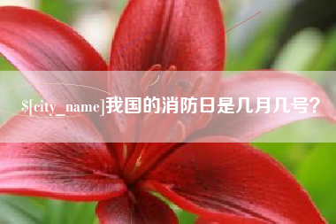 广东我国的消防日是几月几号？