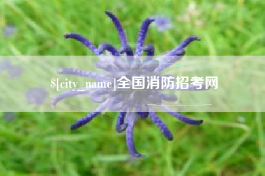 广东全国消防招考网 广东全国消防招考网