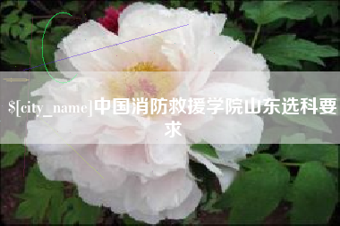 广东中国消防救援学院山东选科要求